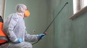 Trusted Westlake, TX Mold Removal Experts