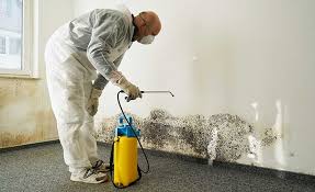 Best Commercial Mold Inspection in Westlake, TX