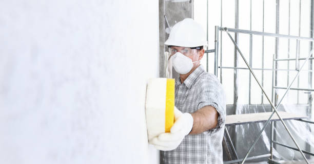 Best Mold Remediation for Healthcare Facilities in Westlake, TX